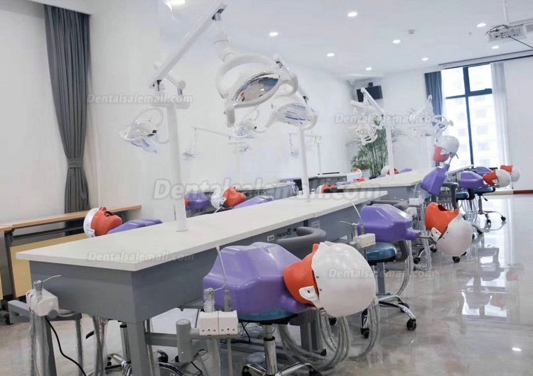 Jingle A4 Dental Double Teaching Manual Control Phantom Dental Simulation Unit